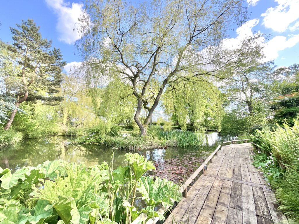 Lockley Wood, Market Drayton, TF9