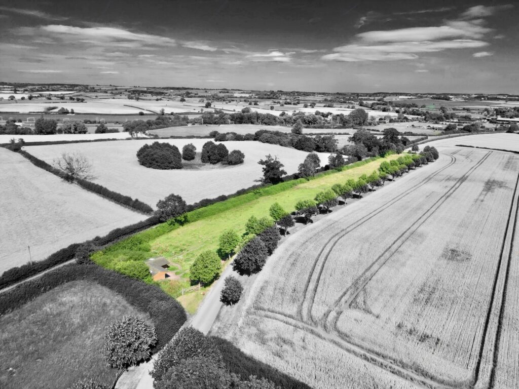 Walton Bank, Eccleshall, ST21