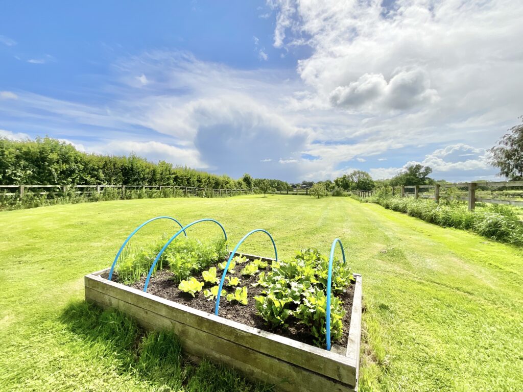 Napley Drive, Norton-In-Hales, TF9